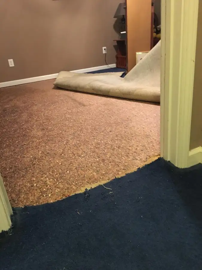Carpet pad removal revealing water damage during Drying & Dehumidification in Hannibal