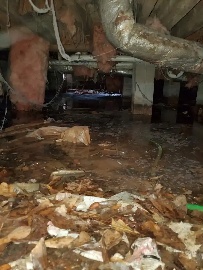Crawl space flood assessment for Leak Detection & Repair in Hannibal